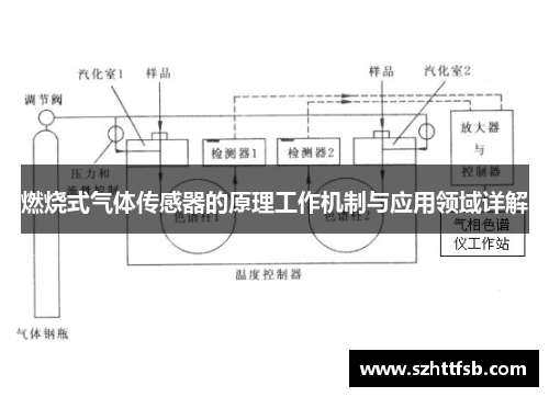 燃烧式气体传感器的原理工作机制与应用领域详解